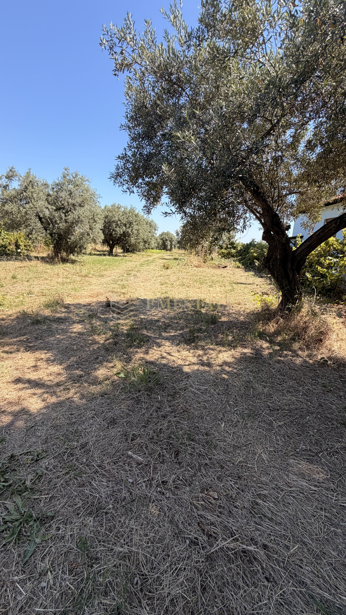 property-img